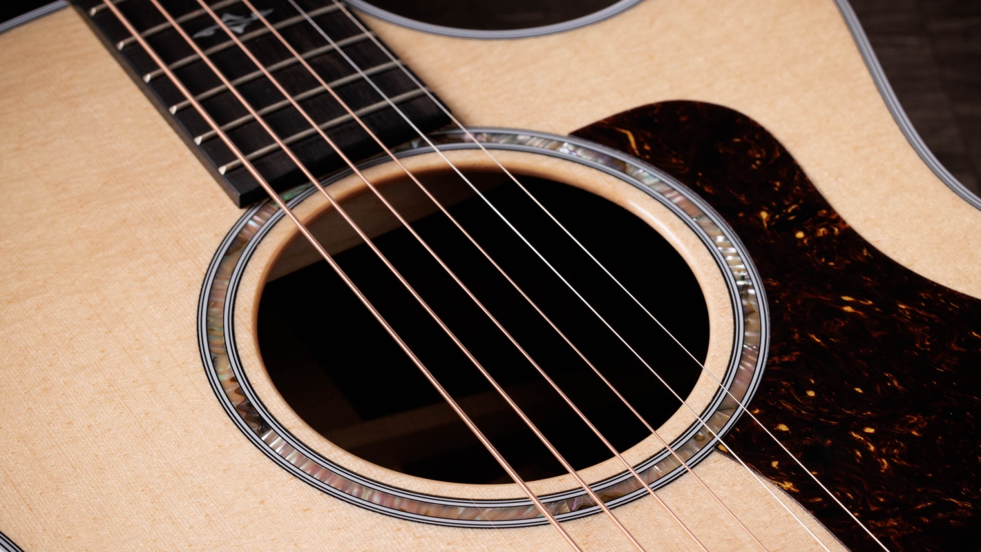 HIPPO GUITARS／00 Custom｜NEW GEAR SOUND CHECK featuring Seiji Igusa - 2024  SUMMER - | アコースティック・ギター・マガジンWEB